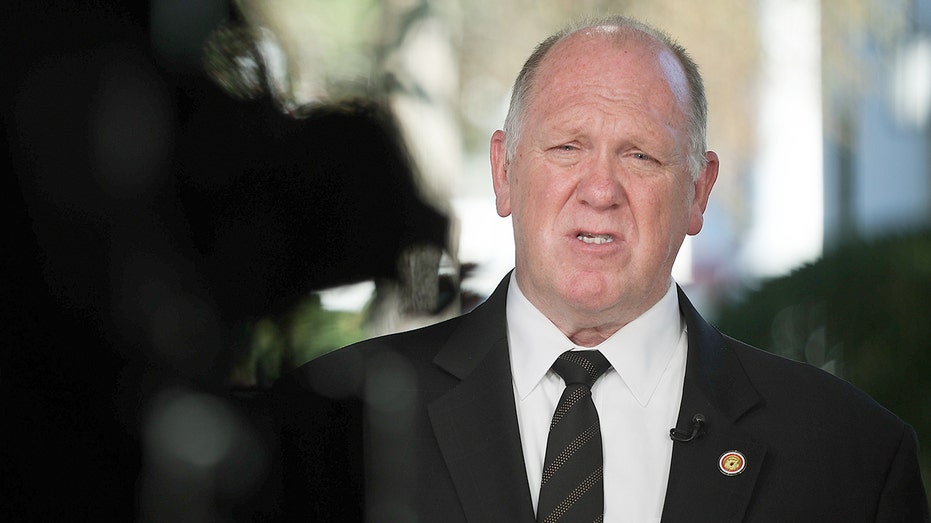 Border czar Tom Homan calls out media, reporters accusing ICE agents of racial profiling