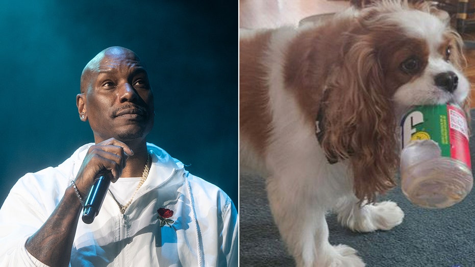‘Fast & Furious’ actor Tyrese Gibson faces arrest warrant after dogs allegedly kill neighbor's pet