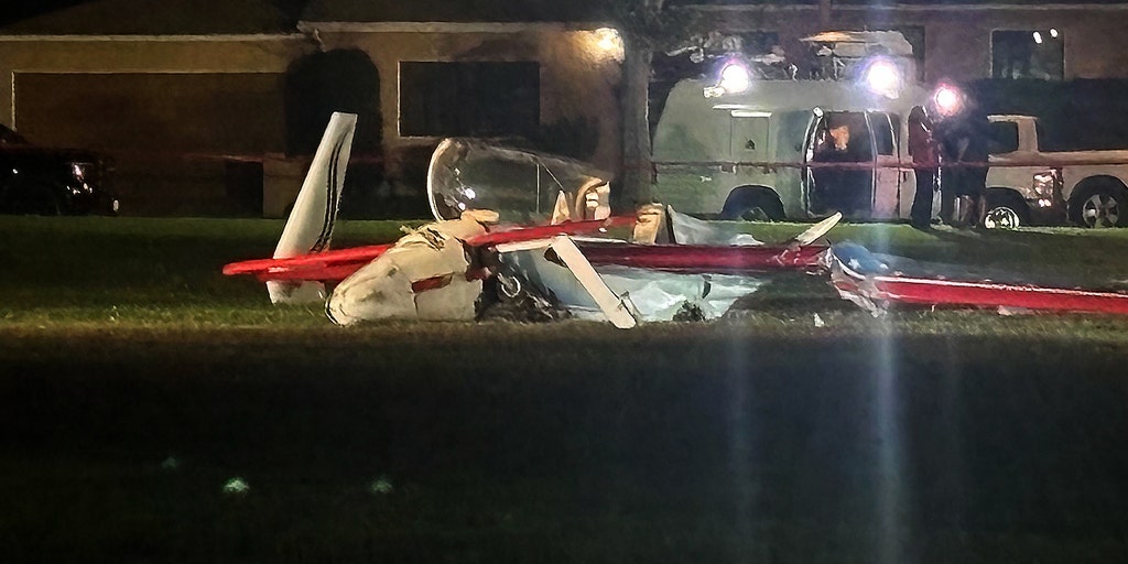 Small Plane Crash Lands in Long Beach Park, Strikes Woman Amid Emergency Attempt