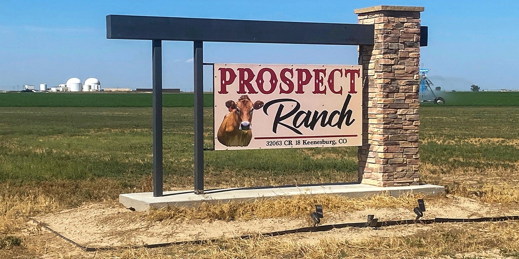 Coroner identifies cause of death for 6 who collapsed at Colorado dairy farm