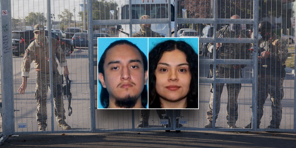 2 Motorists Charged in Chicago, Including One Shot by Federal Agent