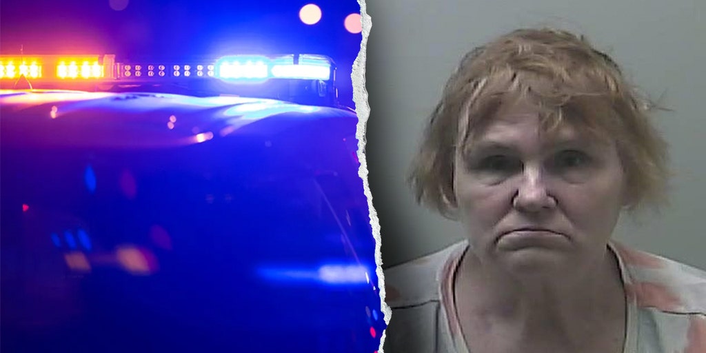 Michigan babysitter accused of sexually abusing children in her care faces 47 charges, police say