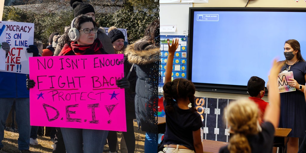 Dozens of parents rights groups call for 50 state audit to rid K-12 schools of DEI: 'Clean up the mess'