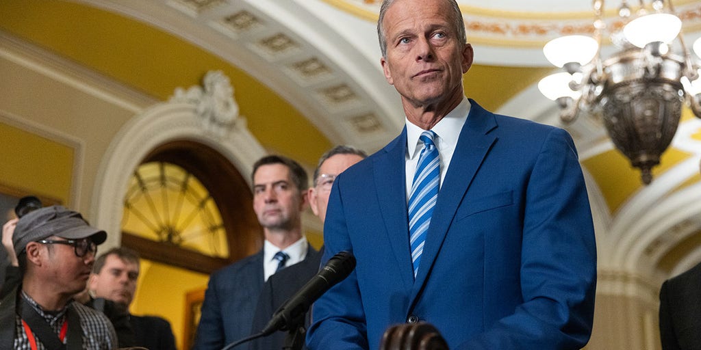 Thune resists Schumer's demands as shutdown enters 4th week in Senate standoff | Fox News