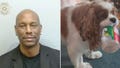 &lsquo;Fast &amp; Furious&rsquo; star Tyrese Gibson arrested on animal cruelty charge after dog attack - Fox News