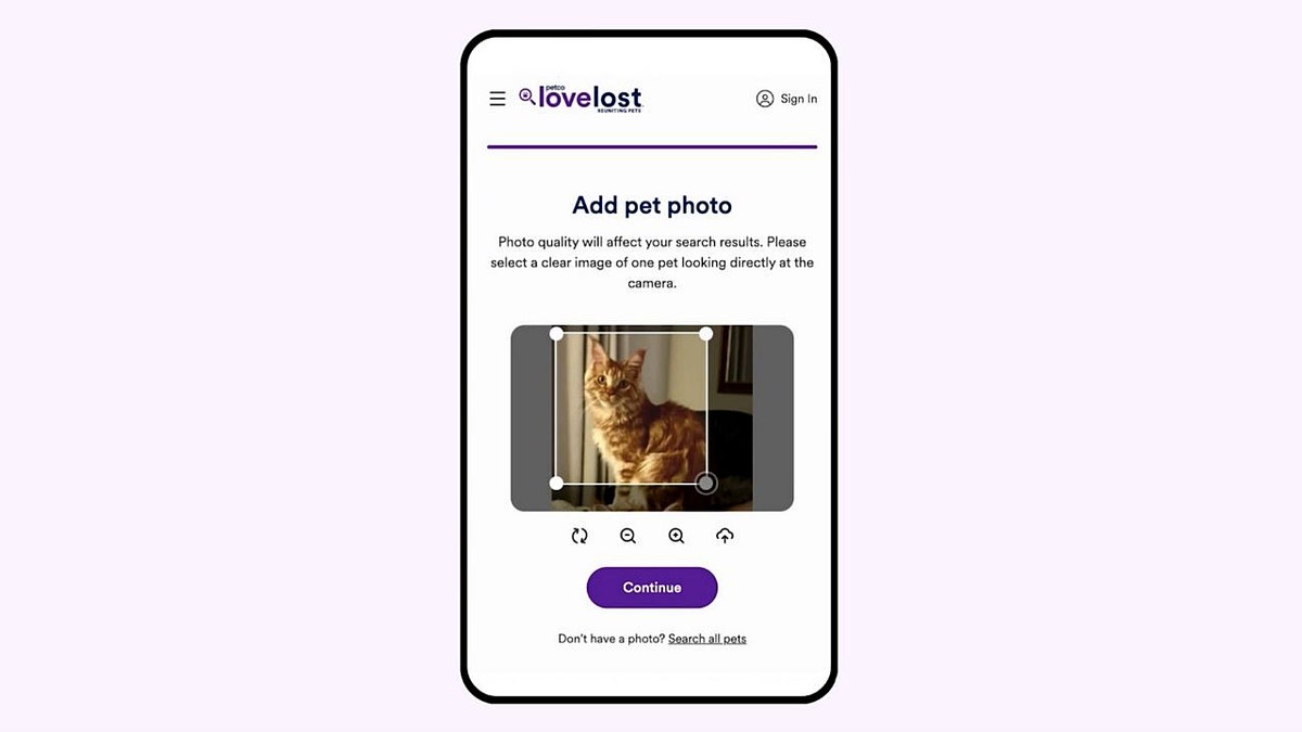 The Love Lost app