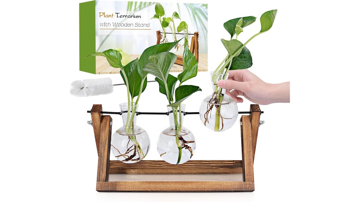 Grow your plant collection with the help of this pretty set.