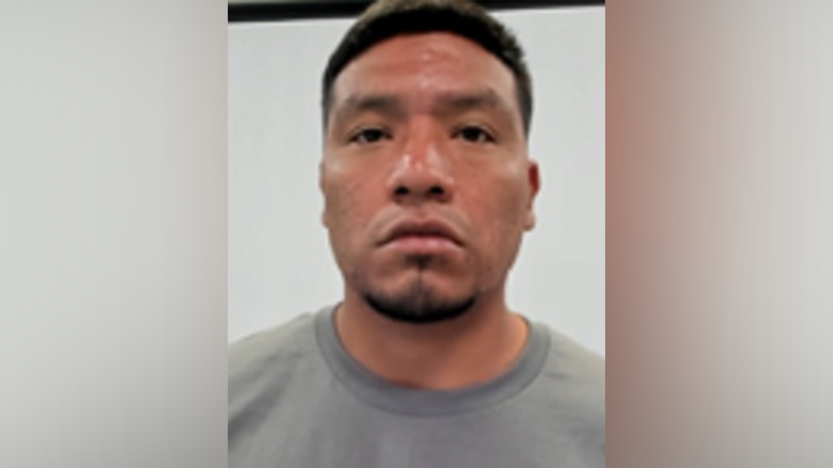 4 ICE arrests murderer, child sex abuser in Twin Cities sweep