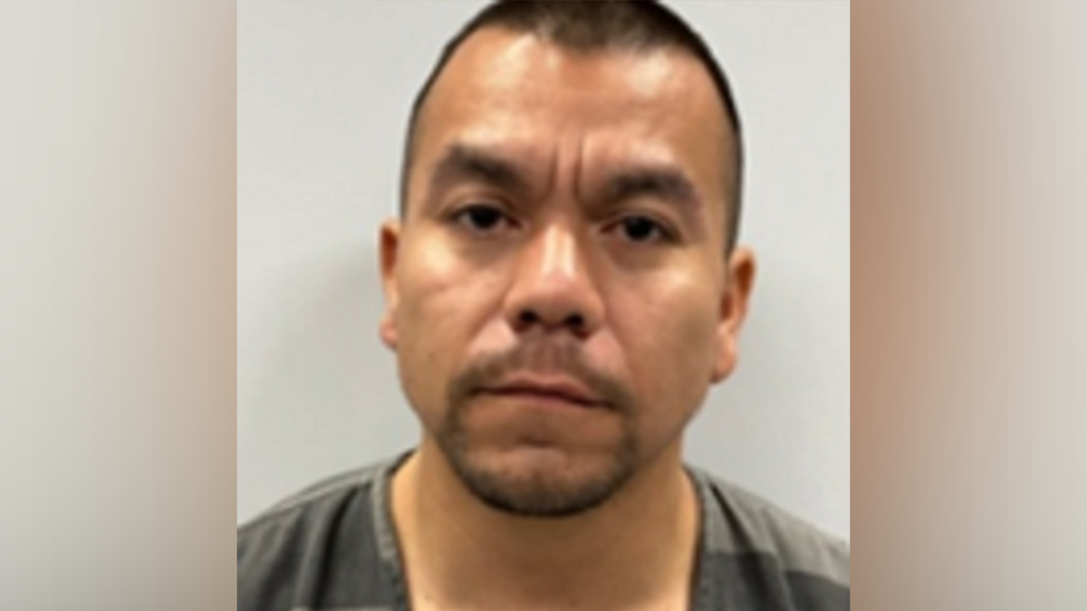 6 ICE arrests murderer, child sex abuser in Twin Cities sweep