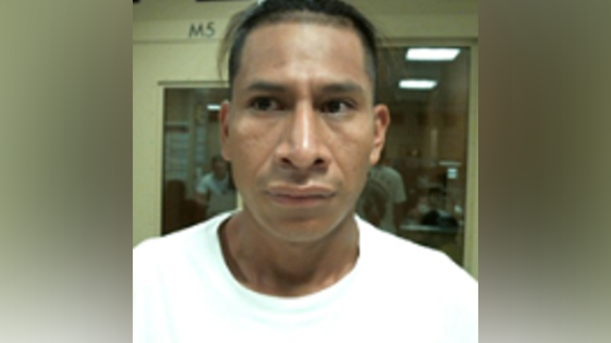 7 ICE arrests murderer, child sex abuser in Twin Cities sweep