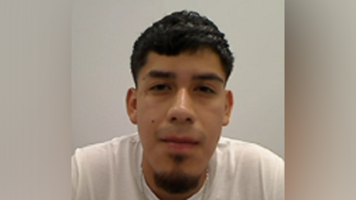 8 ICE arrests murderer, child sex abuser in Twin Cities sweep