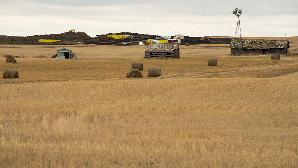 A wheat field in Tioga, North Dakota, with some heavy equipment in the background as workers clean up an oil spill