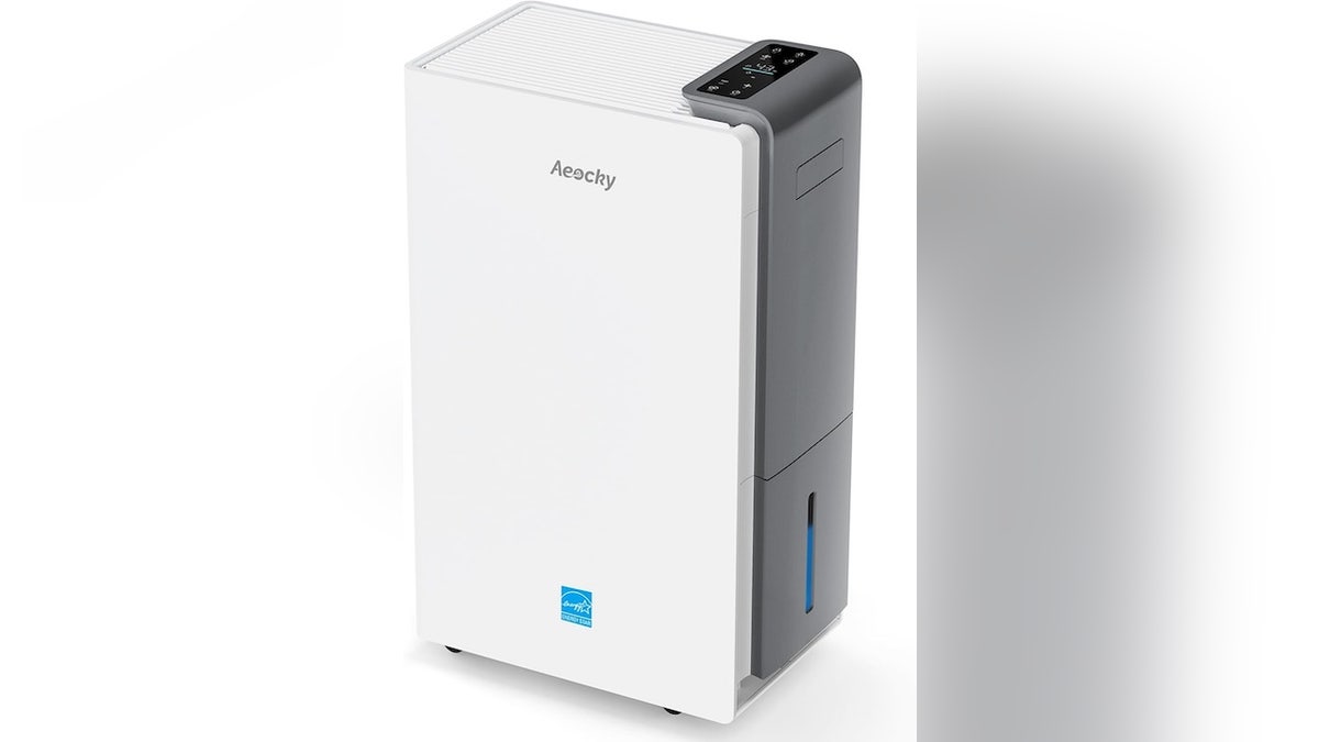 This dehumidifier can dry your entire home on humid days. 