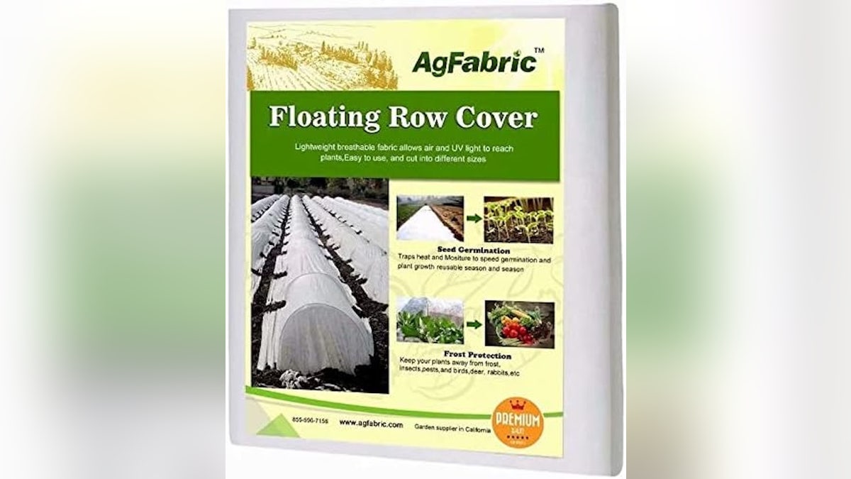 Keep your plants shielded from harsh winter weather. 