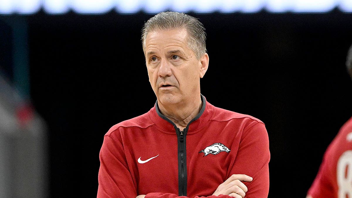 John Calipari looks on