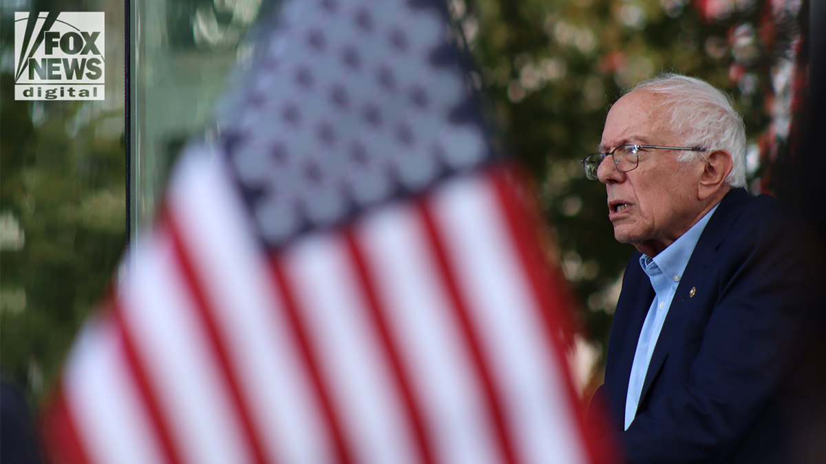 Bernie sanders en No Kings