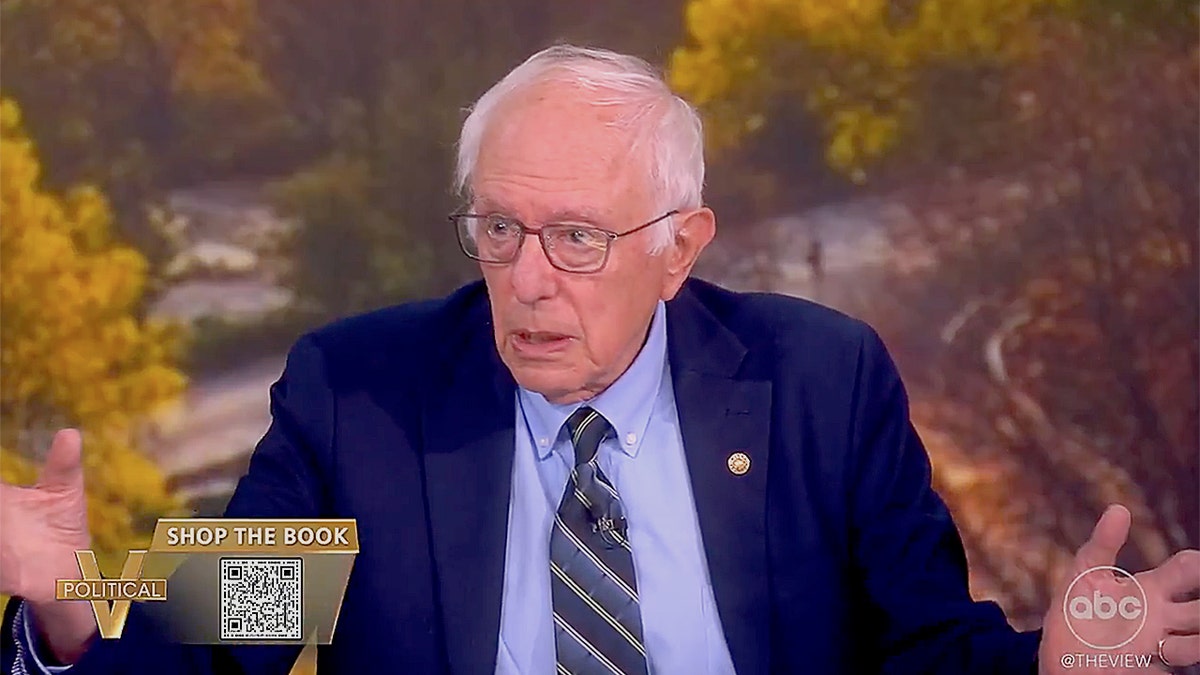 bernie-sanders-the-view Sanders says the Democratic Party needs to make fundamental decisions about the working class