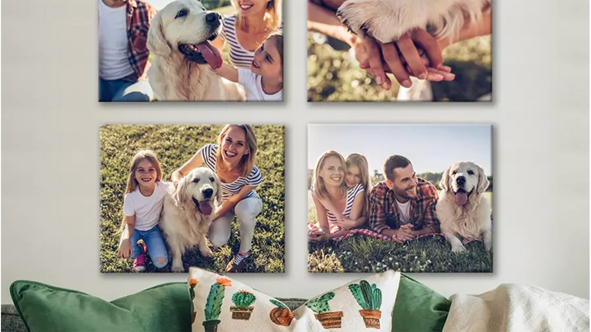 Canvas prints are durable and come ready to hang. 