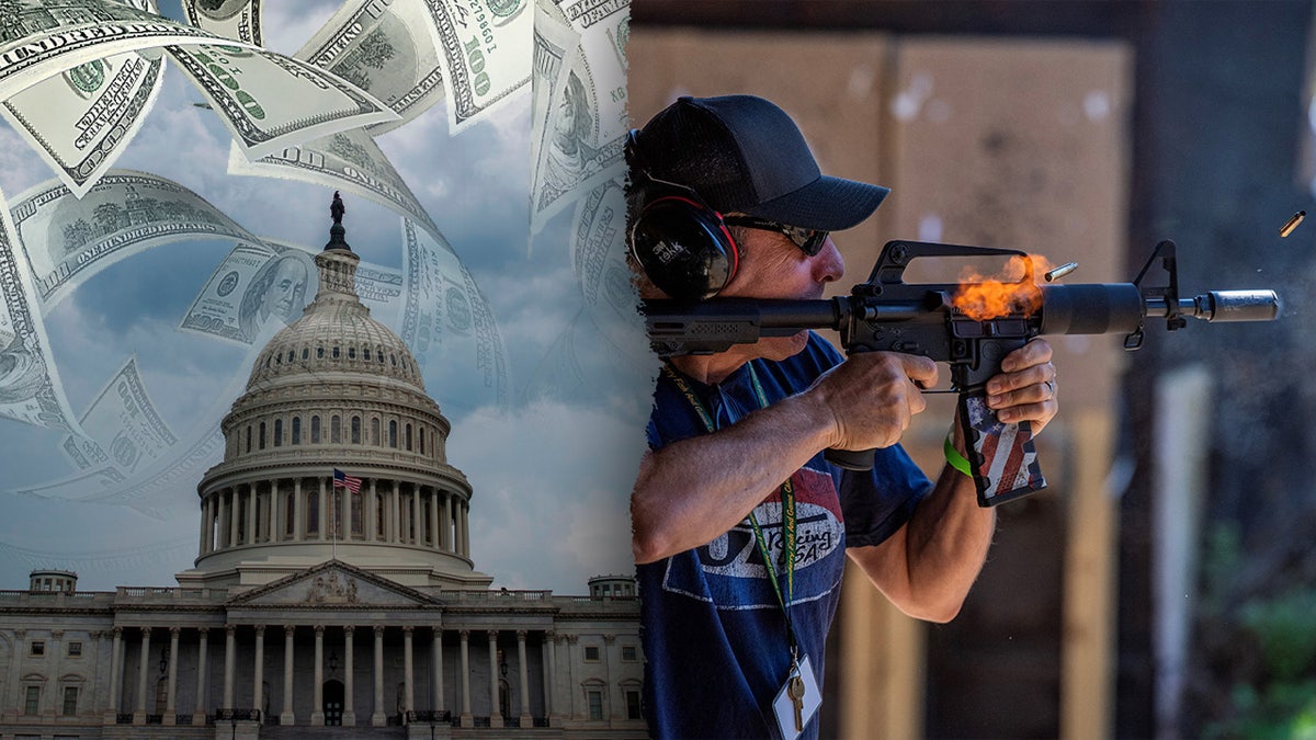 image of the U.S. Capitol next to a gun range