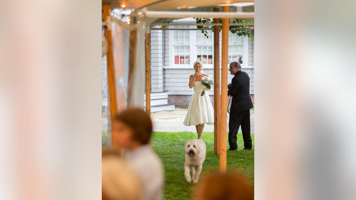 Cheryl Hines walks down a grassy aisle in a white wedding dress holding a bouquet, followed by a fluffy dog.