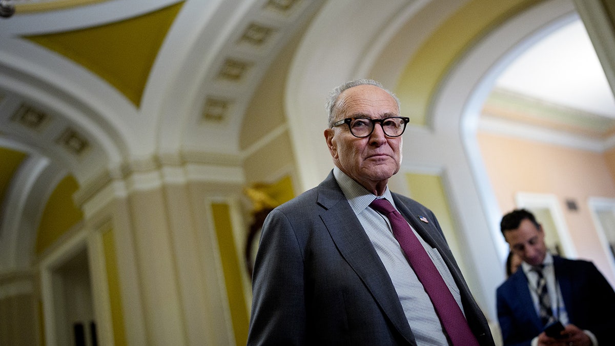 Chuck Schumer di Capitol