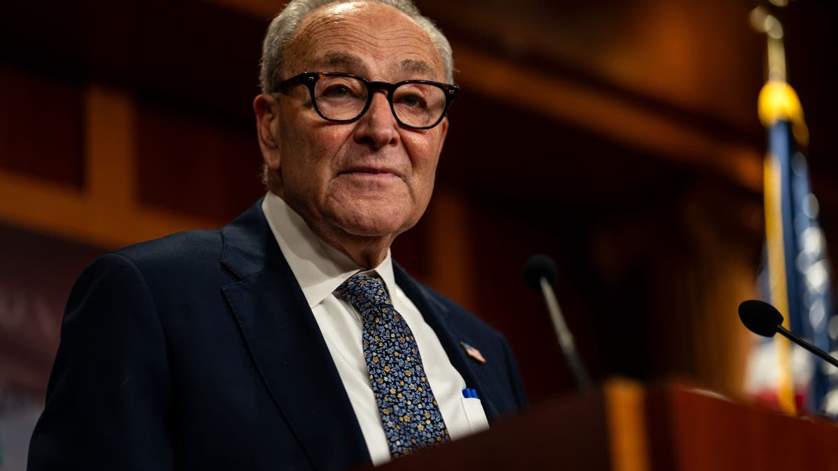 democrat representative chuck schumer government shutdown