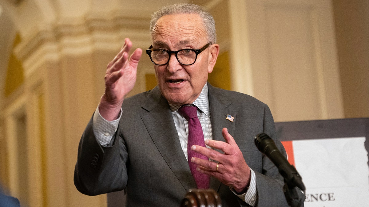 Chuck Schumer speaking
