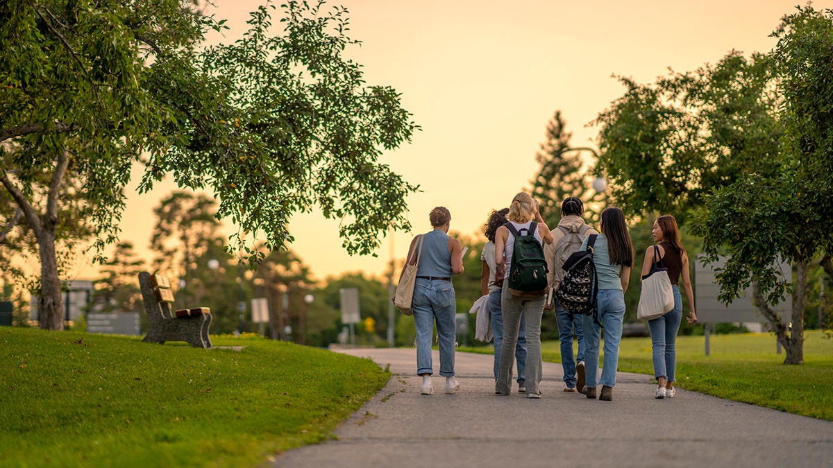 A group of college students walk on campus