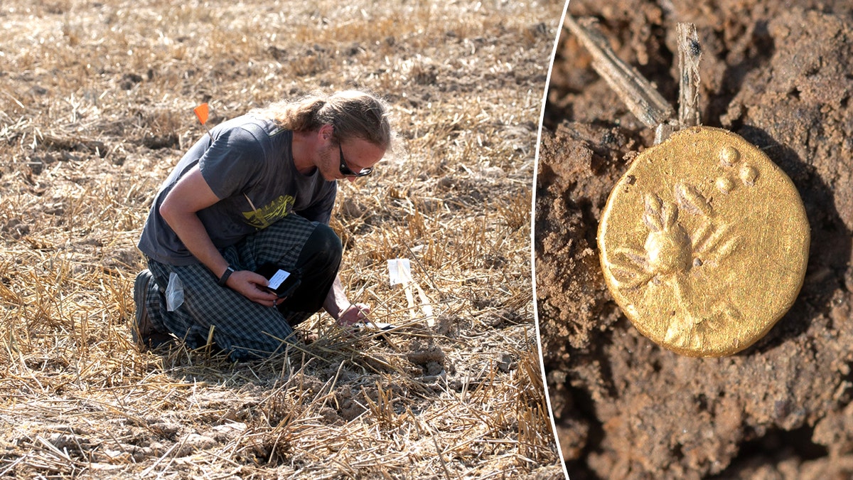Treasure trove of priceless Celtic gold and silver coins unearthed at 'secret' European site