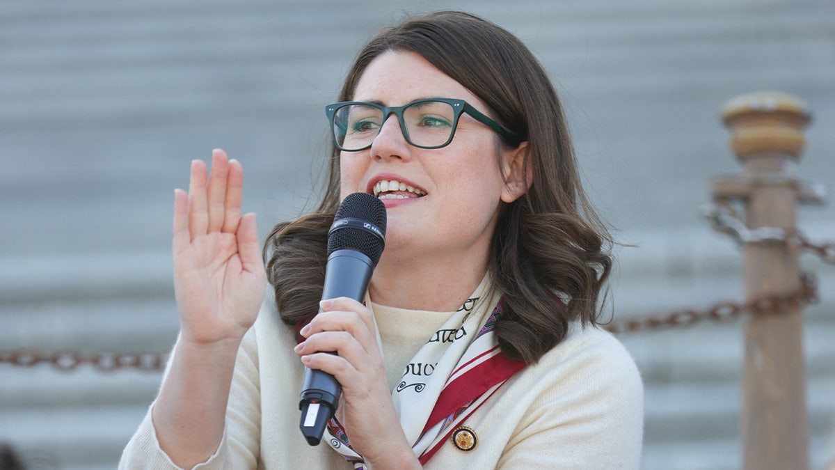 House Democrat Sarah Elfreth speaks at a protest
