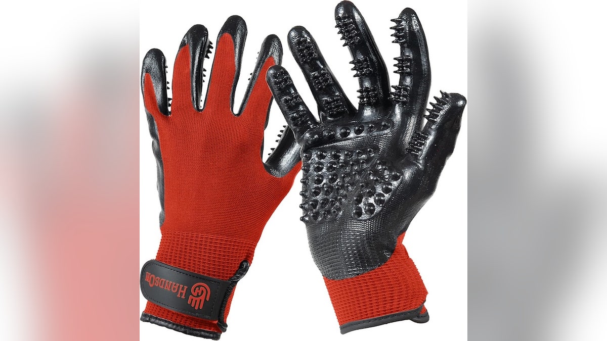 Melhor para: Pais de cães de raças que estão mudando