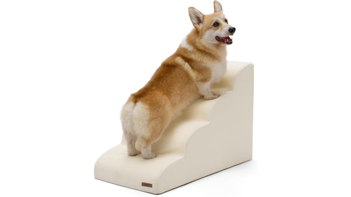 This ramp can save your pet pain and save you a vet bill.