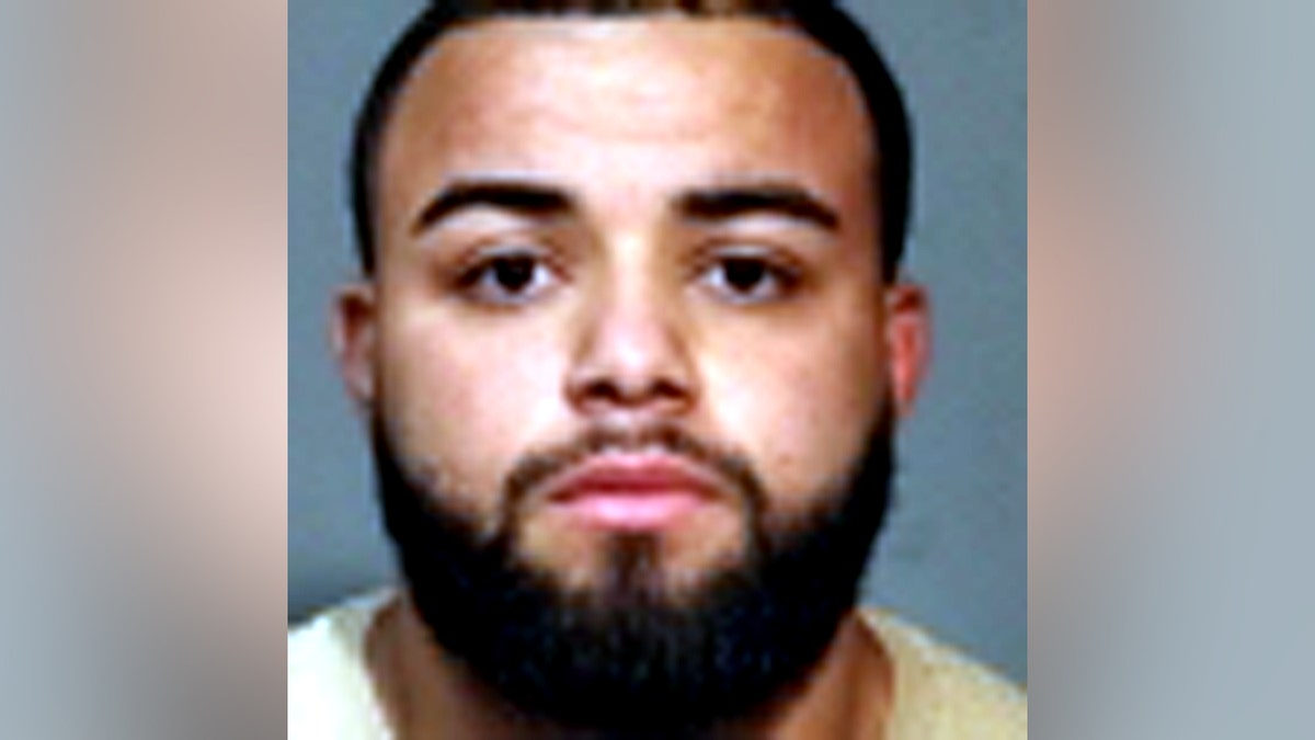 Drew Meneses mugshot