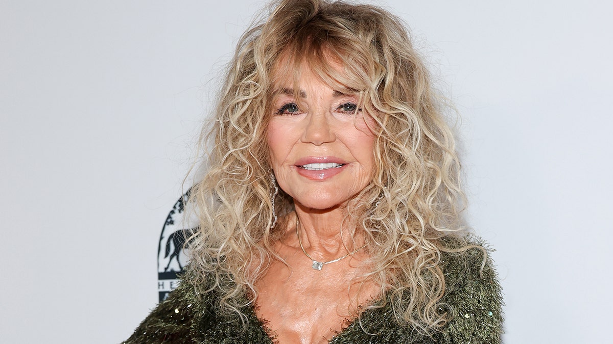 A close-up of Dyan Cannon smiling at the Hollywood beauty awards.