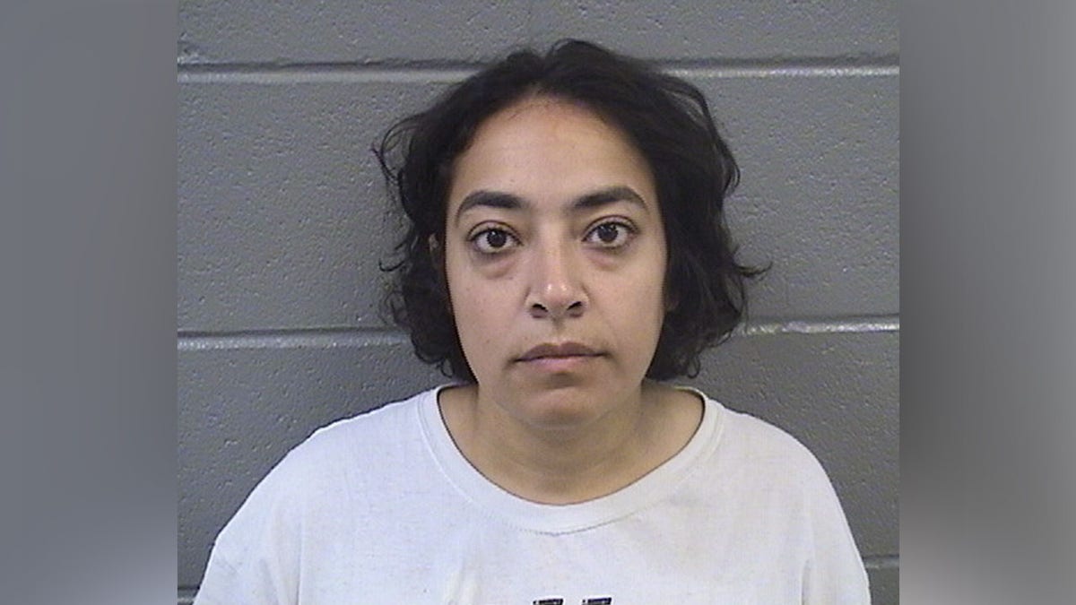 Far-left University of Chicago professor charged with violent felonies during anti-ICE riots in Broadview