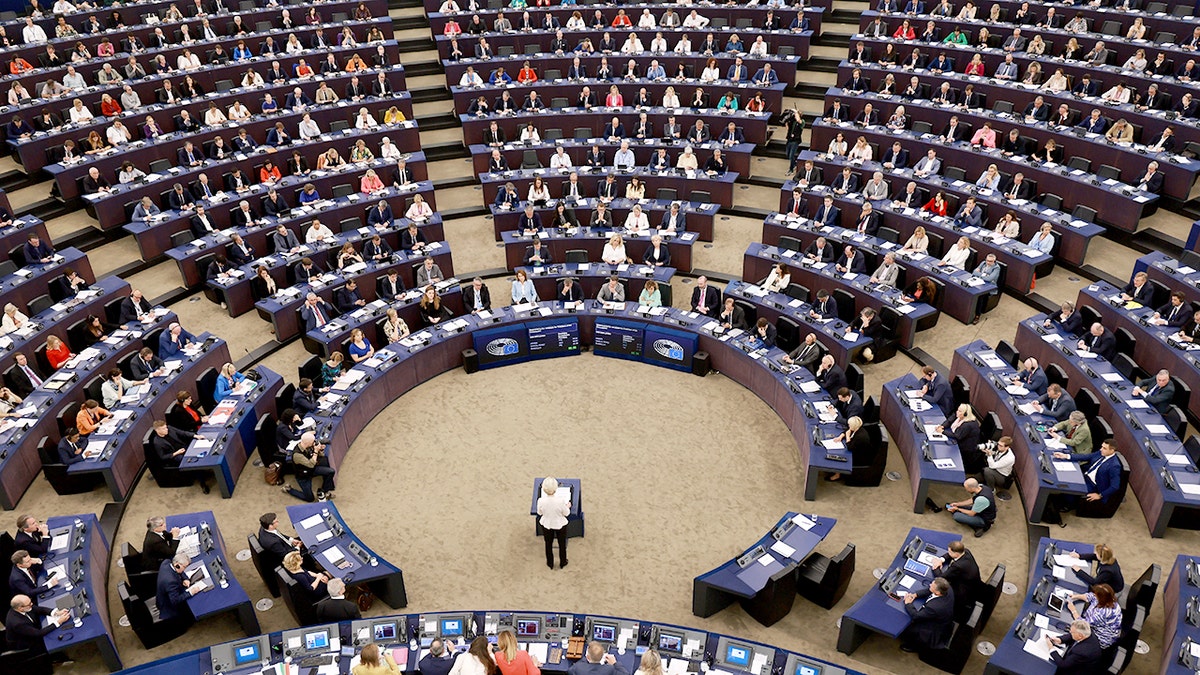 EU Parliament Vote For Commission President in 2024