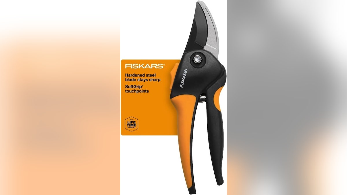 Use garden clippers for cutting back dead growth