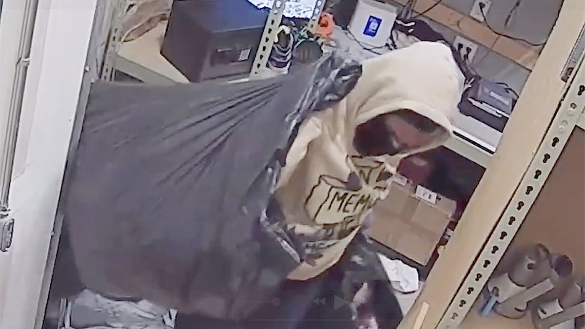 Masked looters caught on camera trashing Florida store, stealing clothes