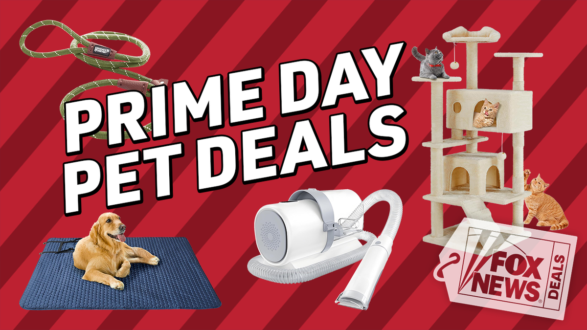 Upgrade your pet’s space.