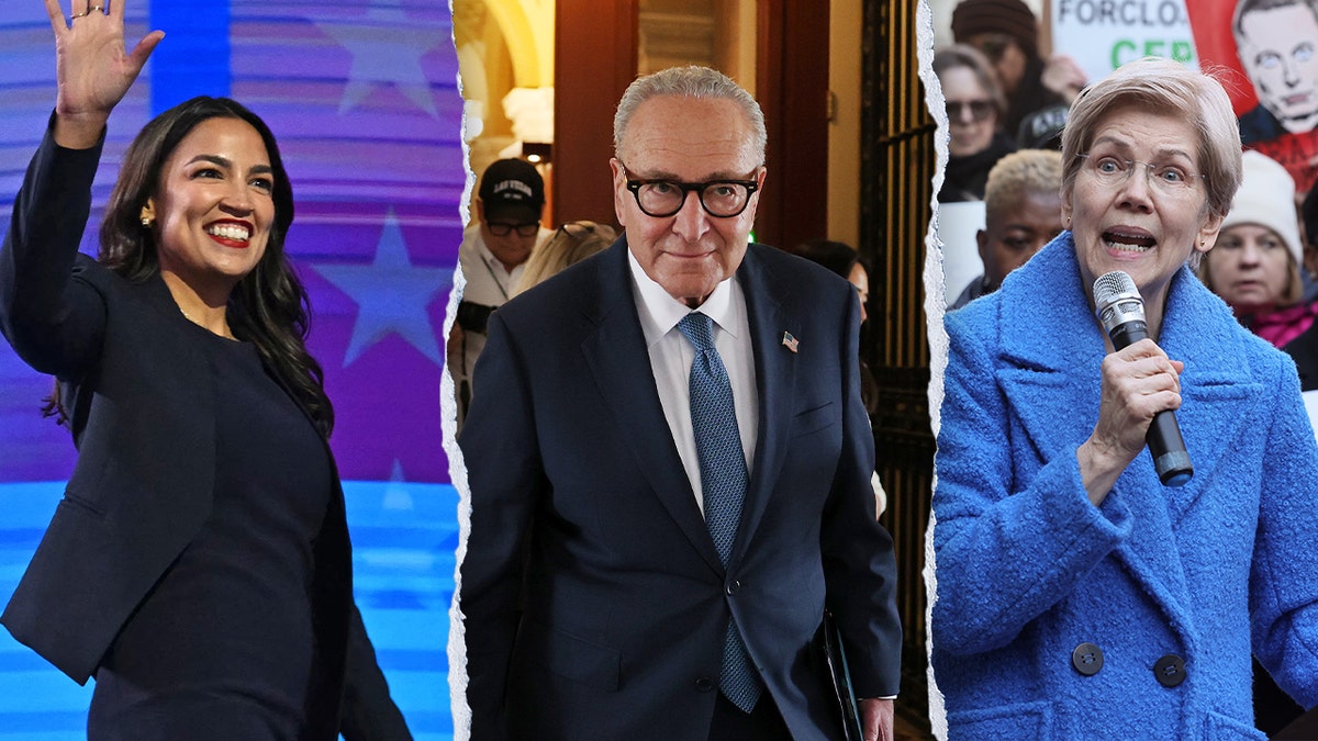 Pictures of the Democratic Party