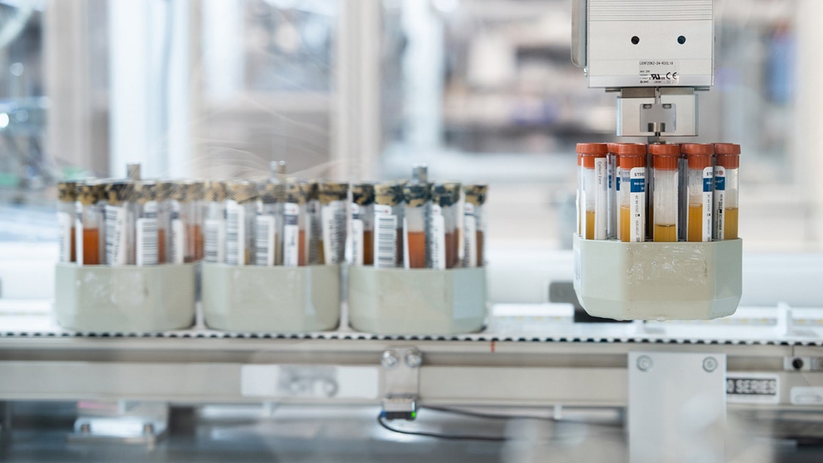 a variety of blood test tubes in a lab