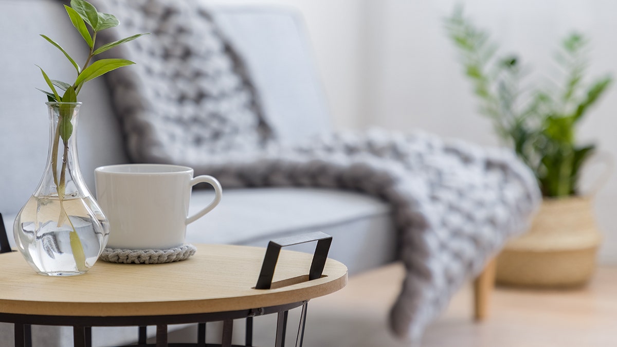 Side table with mug and plant near cozy living room couch.