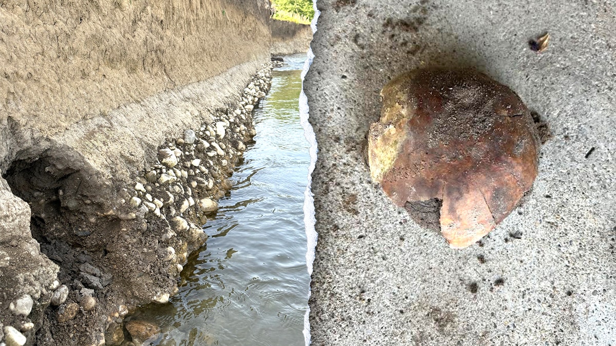 Split image of skull, river bank