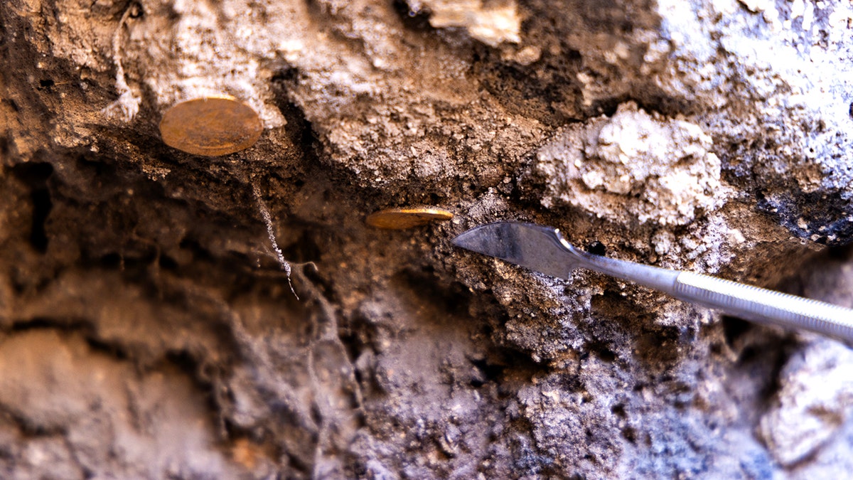 Treasure trove of gold coins, ancient jewelry unearthed in Christian city near Sea of Galilee  at george magazine