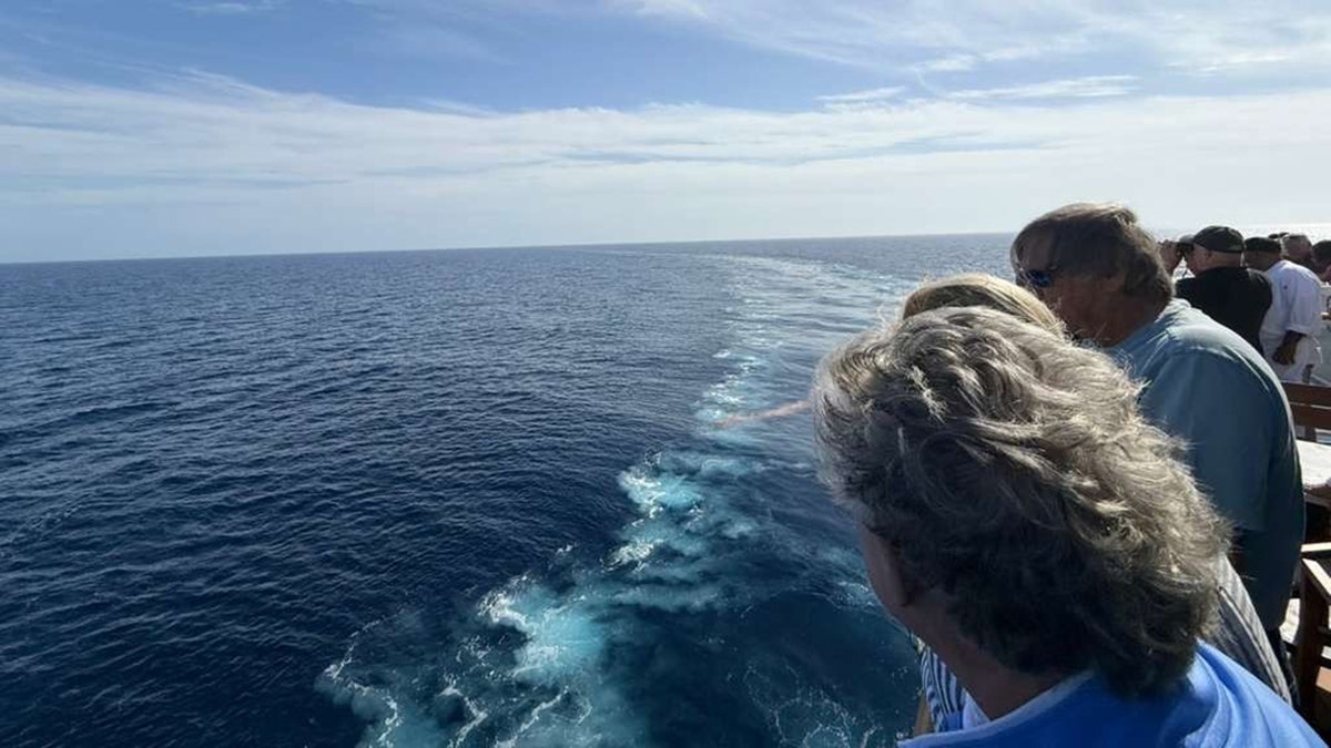 passengers looking over the ship's railing into the sea
