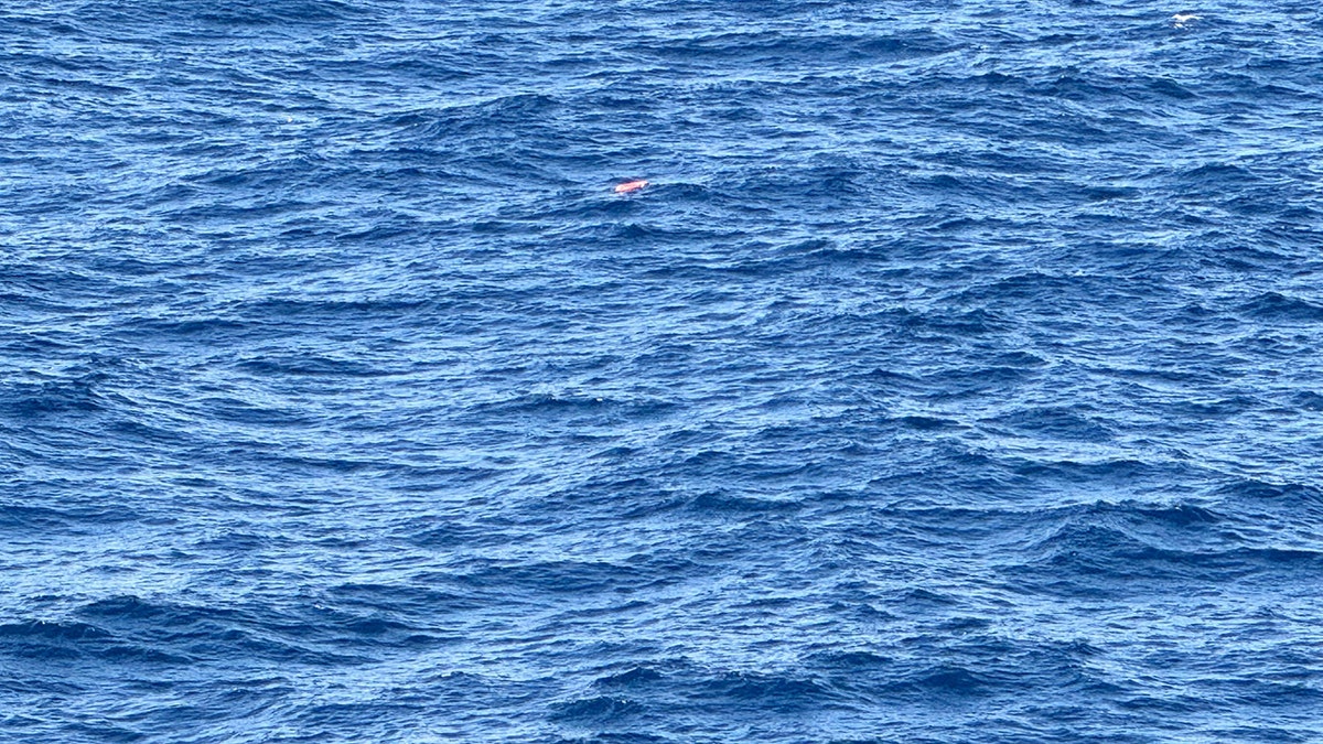 Un salvavidas naranja flota en el mar azul.