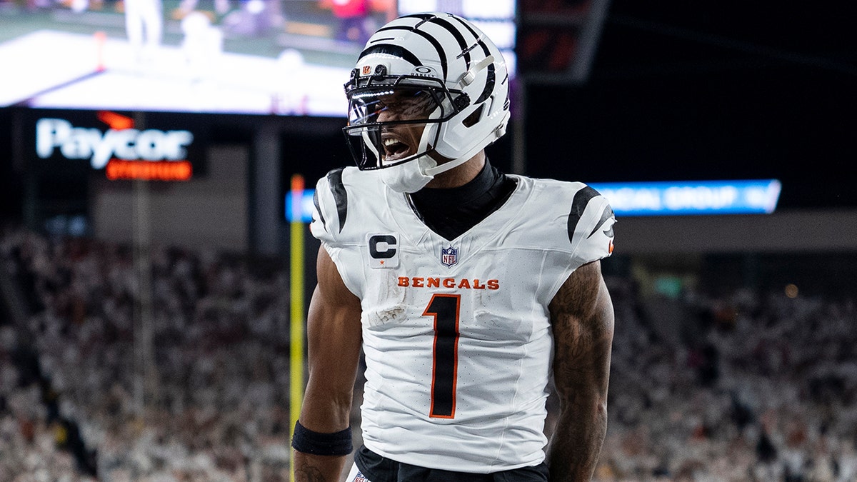 Ja'Marr Chase yells after touchdown