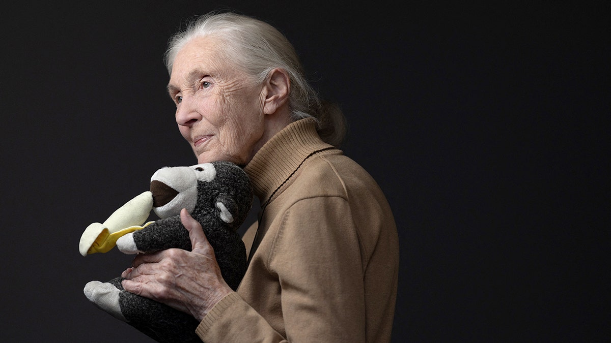 Jane Goodall’s surprising lesson on death changed how this retired pastor sees life  at george magazine