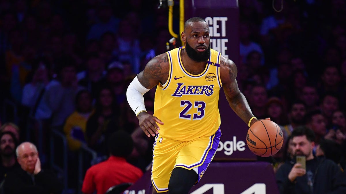 LeBron James drybling