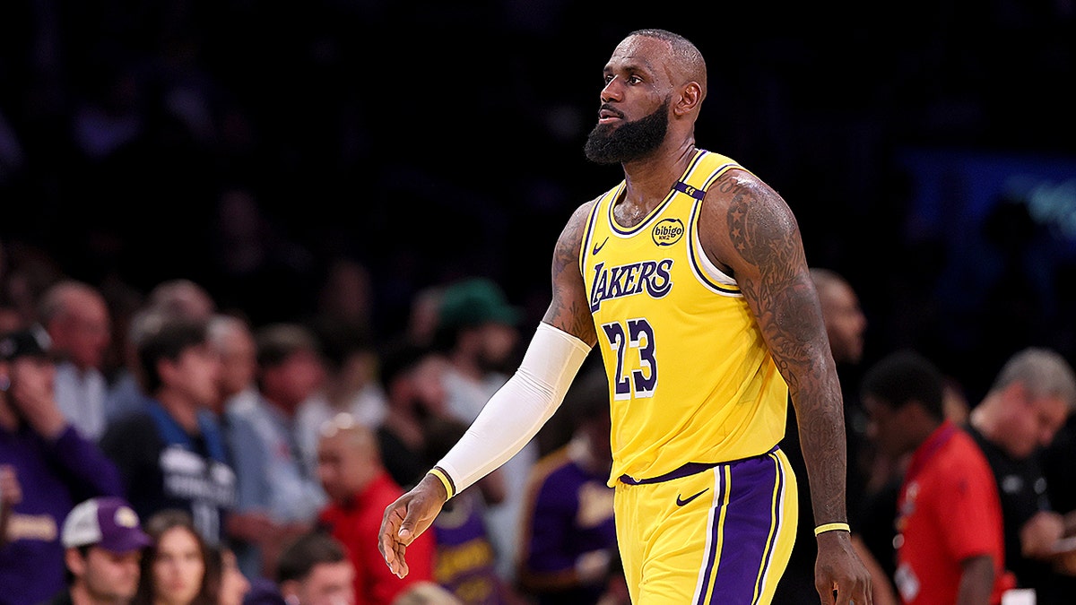 LeBron James on court